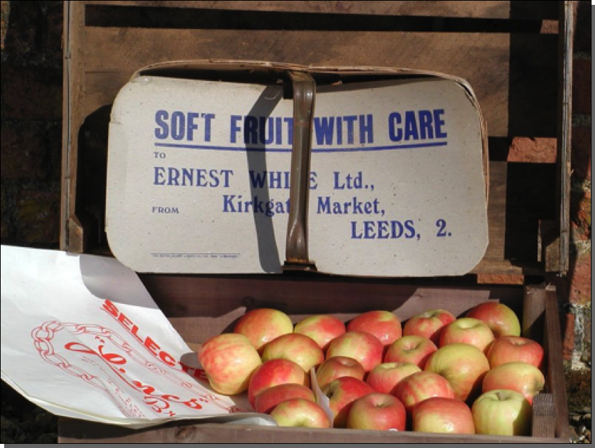 Large punnet with cover

